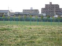 浅川スポーツ公園の写真3