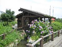 水車掘公園 水車のある風景の写真
