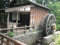 向島用水親水路の写真1