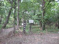 向島(むこうじま)緑地の写真1