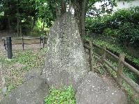 向島(むこうじま)親水路の写真2