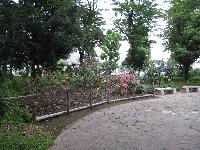 日野中央公園の写真3