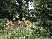 大木島自然公園の写真1