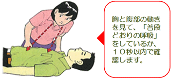イラスト:呼吸を確認している