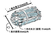 イラスト:剪定枝のまとめ方のイラスト、一束の長さ50cm以内、一束の直径30cm以内、一本の太さ(直径)5cm以内