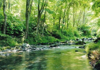 写真:八王子市長賞