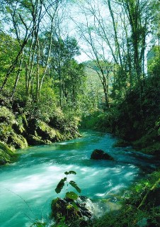 写真:佳作作品5