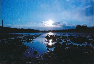 写真:佳作作品9