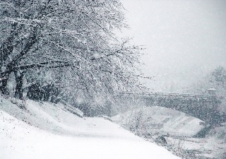 写真:佳作作品3