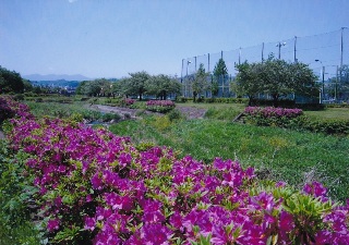 写真:佳作作品1