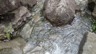 写真:佳作作品2