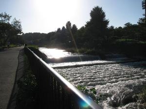 写真:佳作作品6