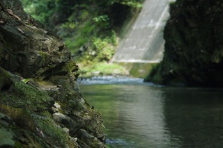 写真:佳作作品5