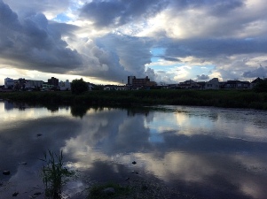 写真:佳作作品7