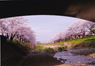 写真:八王子市長賞作品