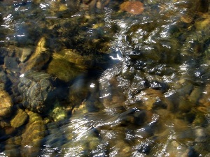 写真:日野市長賞作品