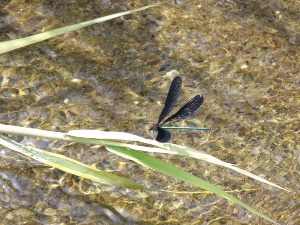 写真:佳作作品8