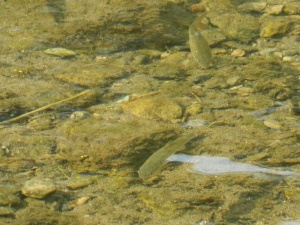 写真:佳作作品9