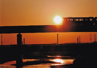 写真:最優秀賞作品