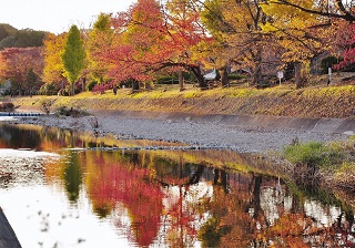 写真:八王子市長賞作品