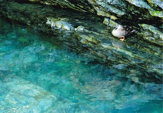 写真:佳作作品8