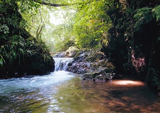 写真:佳作作品5