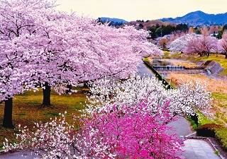 写真:佳作作品10