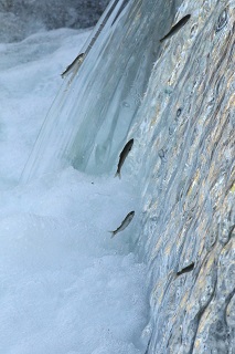 写真:優秀賞作品2