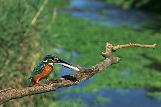 写真:優秀賞作品1