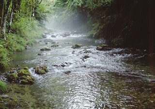 写真:八王子市長賞作品