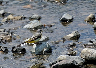 写真:佳作作品6