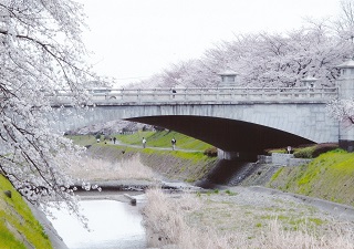 写真:佳作作品8