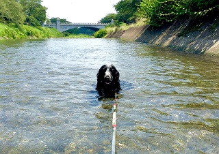 写真:佳作作品1