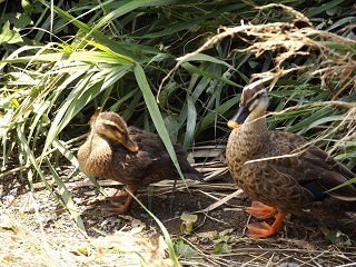 写真:佳作作品9