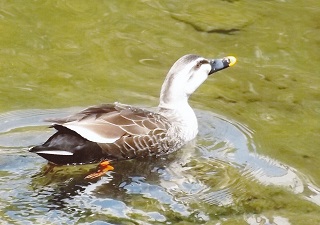 写真:佳作作品4