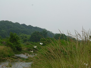 写真:佳作作品5