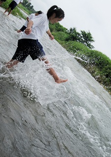 写真:優秀賞作品1