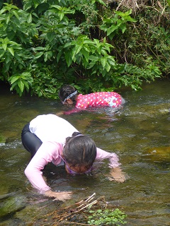 写真:いる、いる、いるよ!