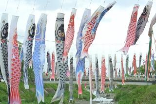 写真:風ふかないかなぁ…