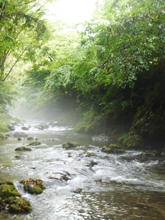 写真:自然の豊かさ