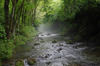 写真:ささやかな湧水から