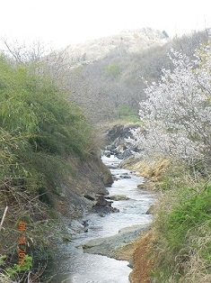 写真:「誘う北浅川の渓流」