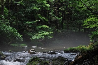 写真:「川の目ざめ」