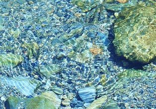 写真:「宝石箱」