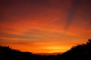 写真:「朝焼けに魅了される」