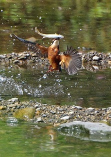 写真:「ナイスキャッチ、大物ゲットだー!」