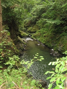 写真:「緑と共に」