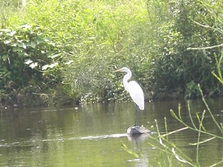 写真:「待ち合わせ」