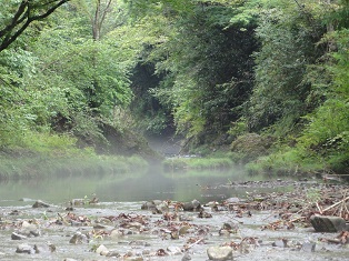 写真:「もやの立ちこむ川」