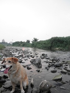 写真:「ASAKA・WAN 1」